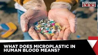 Research Found Micro Plastic In Human Blood, What Does It Mean?