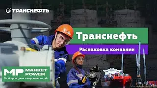 Транснефть I Нефть и трубы в России I Кто прокачивает &ldquo;кровь экономики&rdquo;
