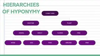 HYPONYMY 2