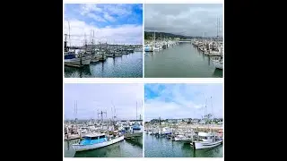 Pillar Point Harbor Walking Tour, Half-Moon Bay, CA.