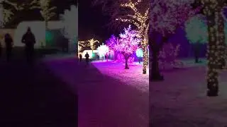 Aurora Winter Festival at Ontario Place in Toronto 2019