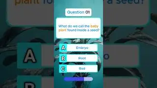 Trivia Questions | Multiple Choice  #quiz #trivia #trending #viral #shorts #youtube #usa #knowledge