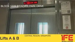 HDB Block 102B Bidadari || IFE Elevator (Lifts A & B)