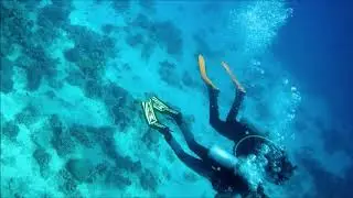 #Schnorcheln am #Hausriff #Arabella Azur /#Hurghada #Ägypten und private Schnorcheltour