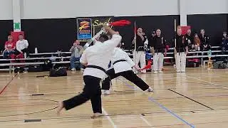 Shaolin Dan Dao (zusds)