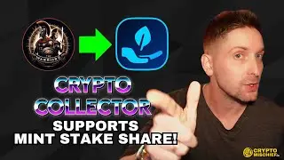 THE CRYPTO COLLECTOR | WIN BNB AND SUPPORT MINT STAKE SHARE!