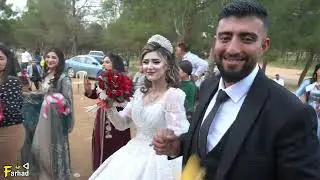 حفلة مهيار ودلافا أفراح أهالي قرية حلنج بتاريخ 26/4/2024في غابة كوباني #فيديو فرهاد 0933130464
