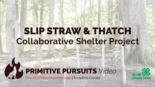 Slip Straw + Thatch Hut Homeschool Project