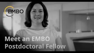 EMBO Fellow Bonnie Murphy: &ldquo;It's been really helpful to have the independence the fellowship allows&rdquo;