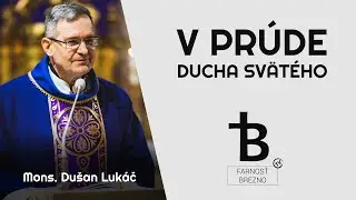 V prúde Ducha Svätého. │ o. Dušan Lukáč
