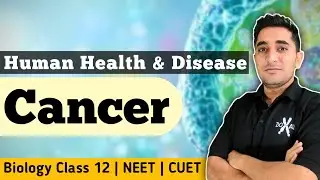 Cancer | Human Health and Disease | PYQ | NEET | CUET | Class 12 Biology