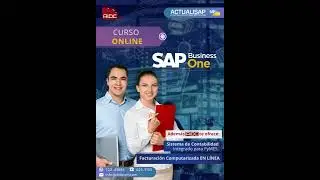 CURSO ONLINE - SAP BUSINESS ONE / Junio 2022