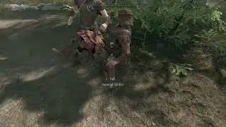 Skyrim funny moments