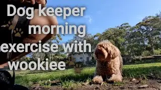 dog keeper🐾 morning exercise with wookiee🐾