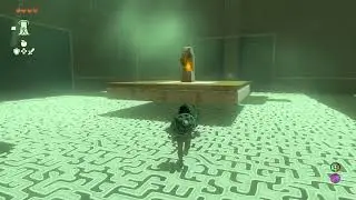 Tears of the Kingdom -  Domizuin Shrine Prone Pathway