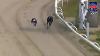 Henlow Sale Live Stream 2019