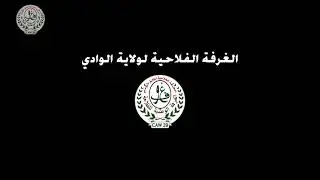 زراعة التريتكال بمستثمرة على بوزيدي بمنطقة المنشية ببلدية حاسي خليفة ولاية الوادي .