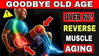Over 60? 6 Best Chair Exercises That Reverse Muscle Aging Faster Than Gym Workouts