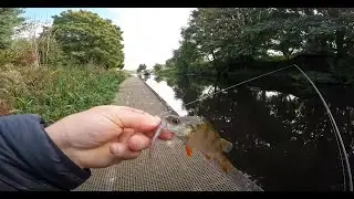 The Forth and Clyde canal . Rod adventure .