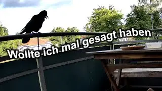 Gespr&auml;chig heute