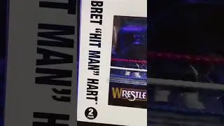 Bret &ldquo;Hit man&rdquo; Hart and Shawn Michaels funko pop #WWE #funkopop #Viral #Subscribe #shorts #WWEToys ￼