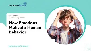 How Emotions Motivate Human Behavior - Essay Example