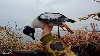 Late Season Duck Hunting - We Set Up the Blind on the Ice!
