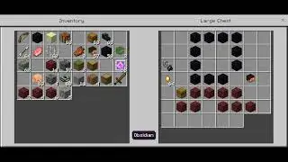 playing minecraft in a chest!!