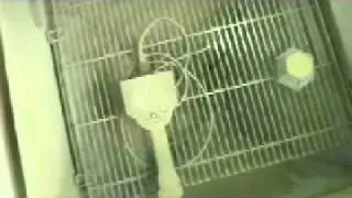 XL Go+ Sand and Dust Testing for Military Standard 810G
