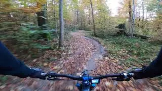 Wednesday Solo Session Adlisberg Trail
