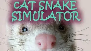 Gameplay of CAT SNAKE SIMULATOR [PS4 Master Race]