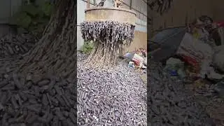 tik tok viral video #science #skill #tech #machines #electronics #machine #technology  #tools #ideas