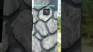 artificial cemented stone outdoors walls design #art #painting #youtubeshorts