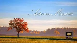 Autumn Memories | Relaxing Music