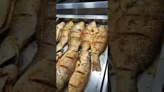Alghousia introducing fish 🐟 #shortsfeed #food #foodblogger #foodie #goodvibes #growmyaccount #short