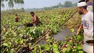 Today live fishing videos in the fields.