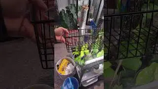 Excellent for holding our plants securely and organizing! #shorts #amazon #trending #viral #shopping