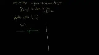 Les plantes CAM (métabolisme acide crassulacéen)