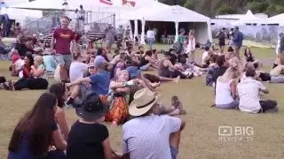 Festival | Byron Bay Bluesfest 2016 | Music | Tyagarah Tea Tree Farm | Byron Bay | Review | Content