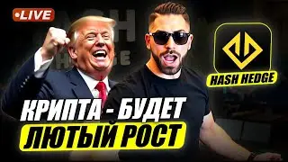 Крипто рынок - ждет большой рост &bull; Торгую на проп счетах Hash Hedge