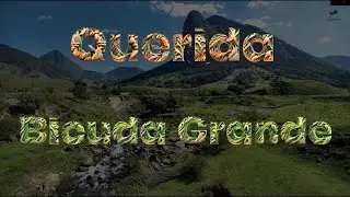 QUERIDA BICUDA GRANDE  - 4k/60fps
