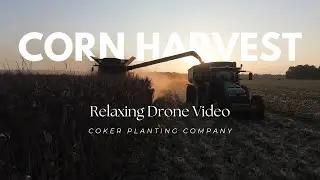 Harvesting Corn with John Deere S680- Relaxing Drone video