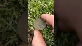 Metal Detecting The Old Ground   ​⁠@MinelabDetecting ​⁠​⁠#neilcolston #love #amazing #gold #coins
