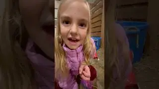 Farmyard Fun: A Girl&rsquo;s Day with the Animals! #farmfun #animallover #farmadventures