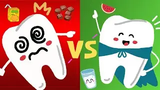 Learn About Teeth & Tooth Decay || Video For Kids || Tiny Fun Learning