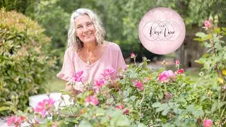 My Personal Rose Line Story