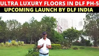 DLF The Grove Ultra Luxury Low Rise Floors By DLF India in DLF Ph-5 Gurgaon- floors in Gurgaon