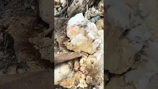 real gold veins😱💰⚒️✅#goldrush #adventure #stonebeads #satisfying