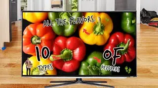 All The Flavors: 10 Types of Peppers