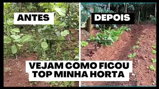 Venham ver minha horta depois de limpa